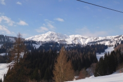 DSCN1795
