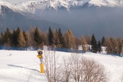 DSCN1799