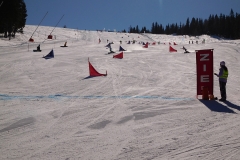 DSCN1674