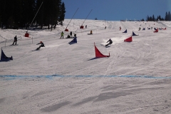 DSCN1679