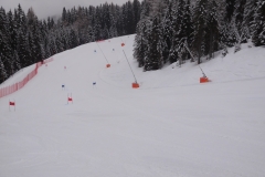 ARS-Jänner-18-004