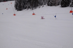 ARS-Jänner-18-006