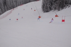 ARS-Jänner-18-030