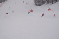 ARS-Jänner-18-036
