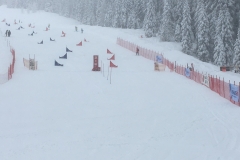 SCHI-Rennen-und-Training-2018-019