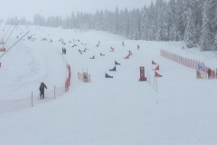SCHI-Rennen-und-Training-2018-020
