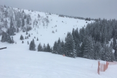 SCHI-Rennen-und-Training-2018-069