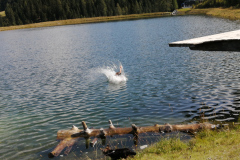 IMG_20200913_131237_1