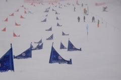 OM-Snowboard-2018-009